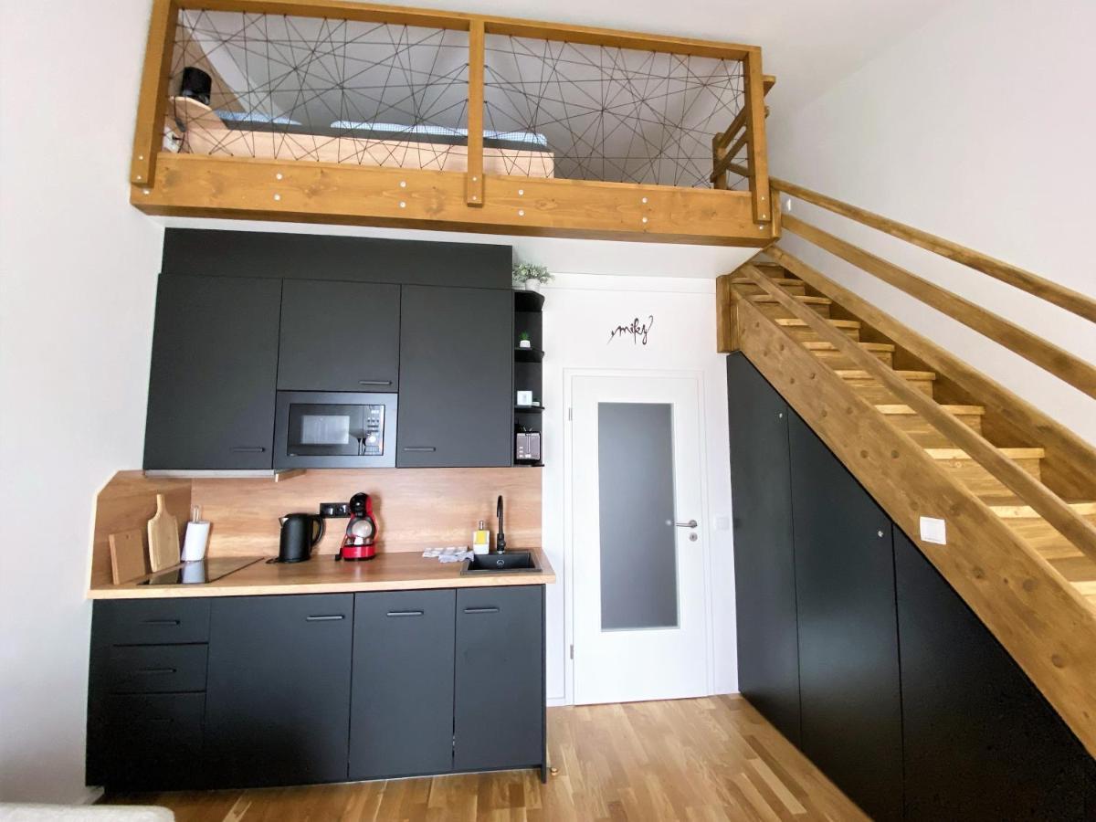 Miky Apartman Klinovec View Loučná pod Klínovcem Exterior foto