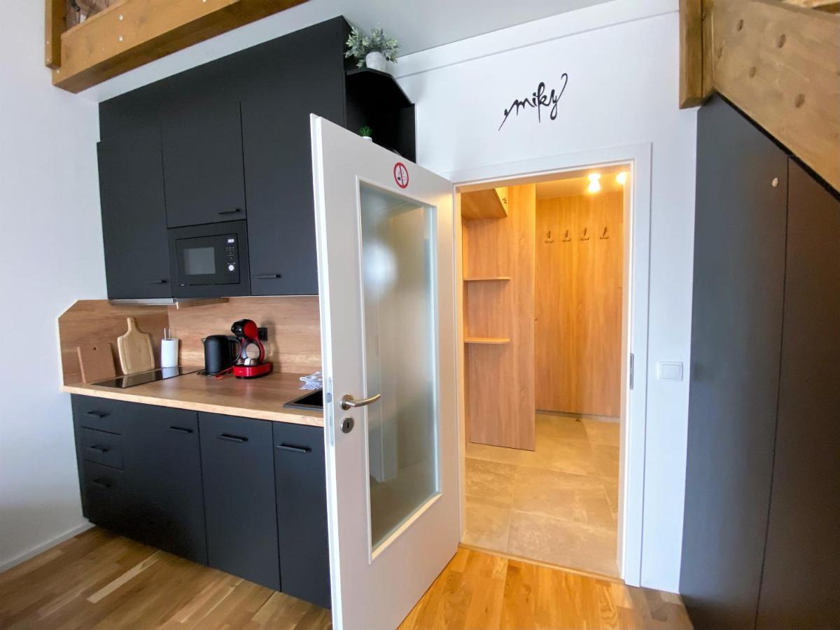 Miky Apartman Klinovec View Loučná pod Klínovcem Exterior foto