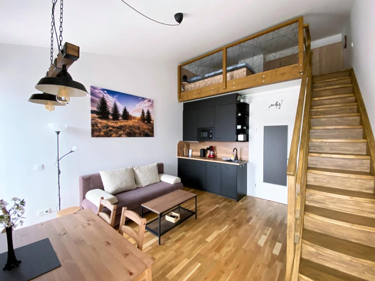 Miky Apartman Klinovec View Loučná pod Klínovcem Exterior foto