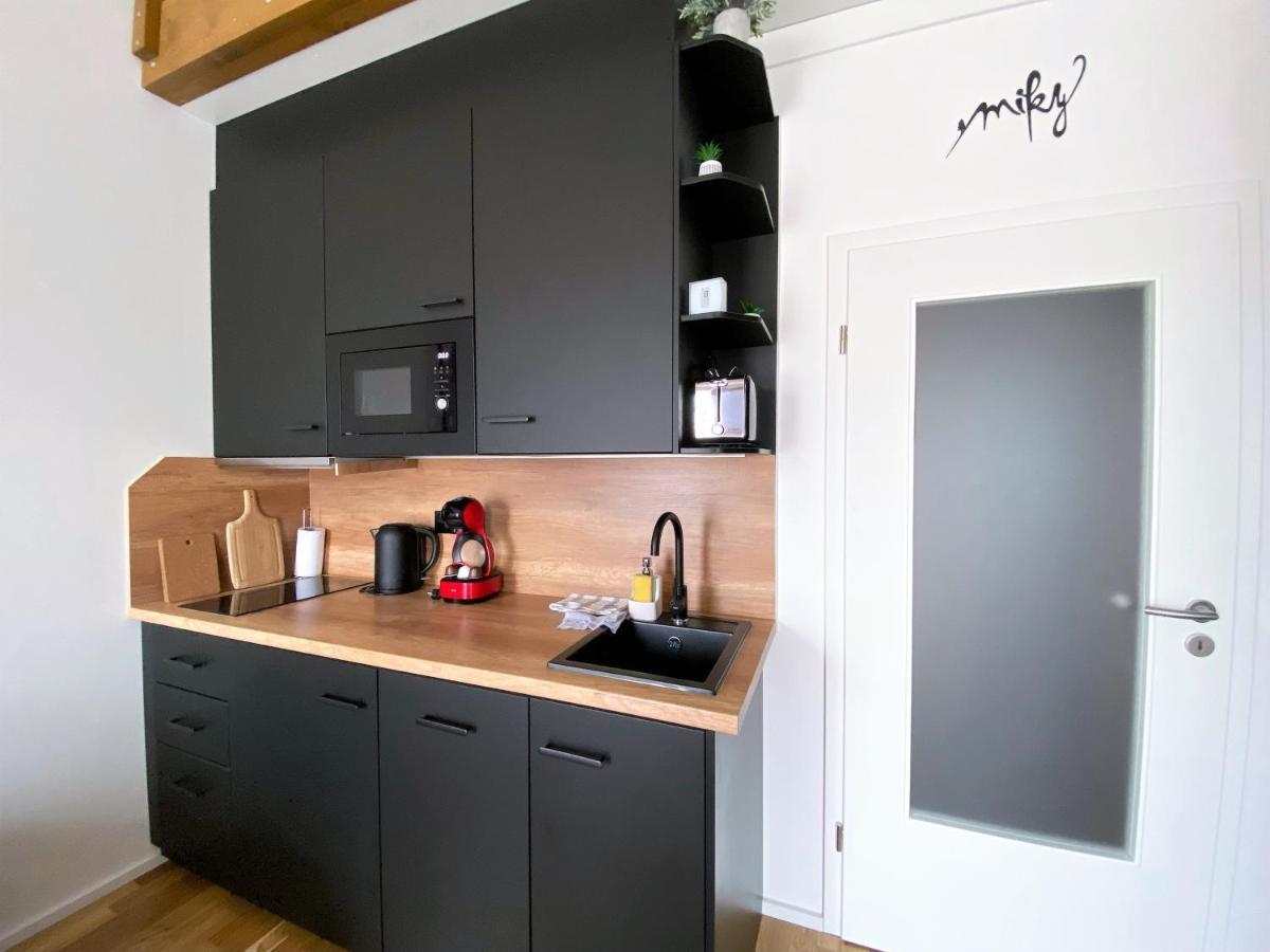 Miky Apartman Klinovec View Loučná pod Klínovcem Exterior foto