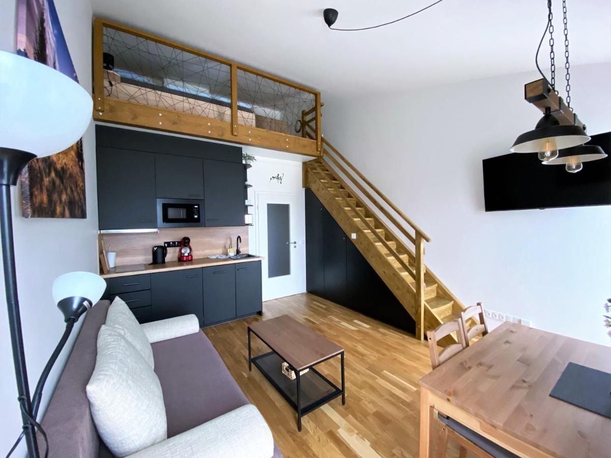 Miky Apartman Klinovec View Loučná pod Klínovcem Exterior foto