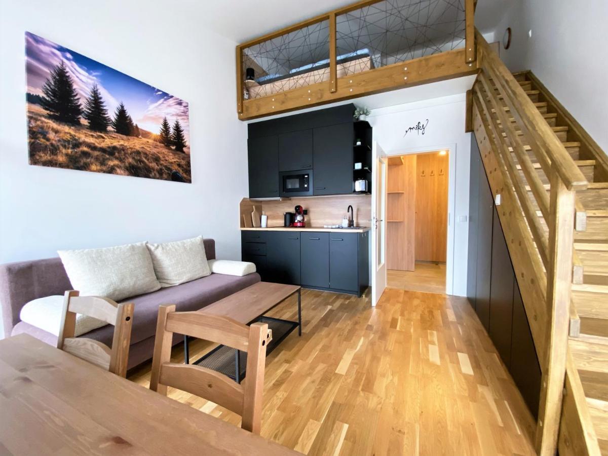 Miky Apartman Klinovec View Loučná pod Klínovcem Exterior foto